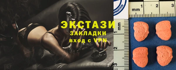 индика Медногорск