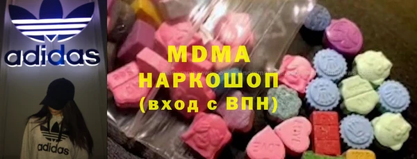 индика Туринск