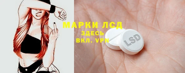 индика Медногорск