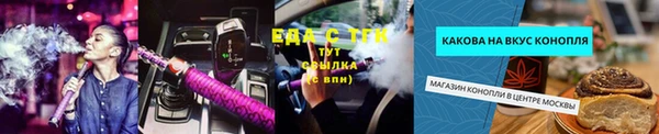 индика Медногорск