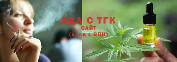 индика Медногорск