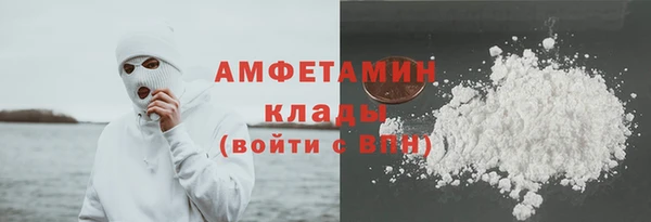 индика Медногорск