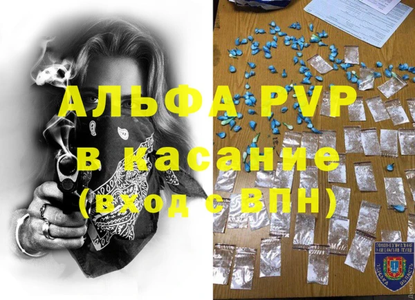 мяу мяу мука Медвежьегорск