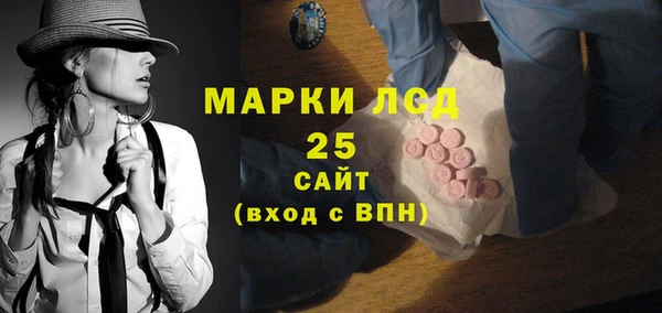 индика Медногорск
