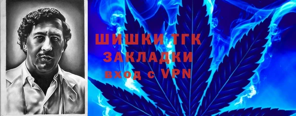 2c-b Нестеровская