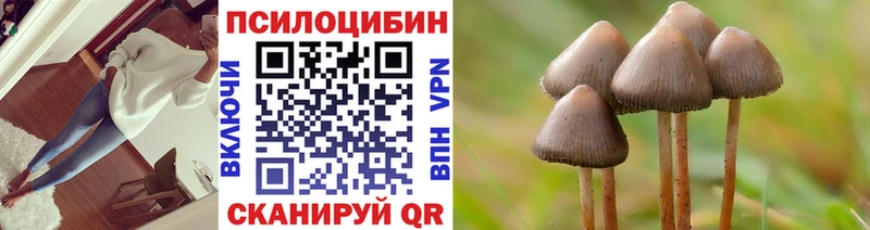 Галлюциногенные грибы Psilocybe  KRAKEN маркетплейс  Томилино 